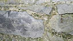 acastle 105600.jpg
